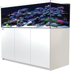 Red Sea Reefer 625 G2+ weiss