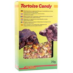 Lucky Reptile Tortoise Candy